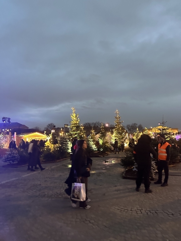 Paris Christmas Walk: Markets & Lights (Private) 1
