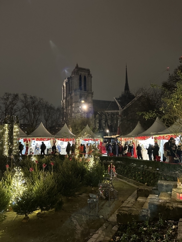 Paris Christmas Walk: Markets & Lights (Private) 2