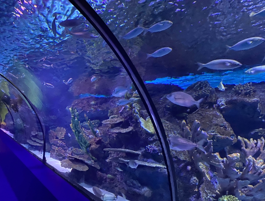 7 Days Bursa & Istanbul Family Adventure Tour 8