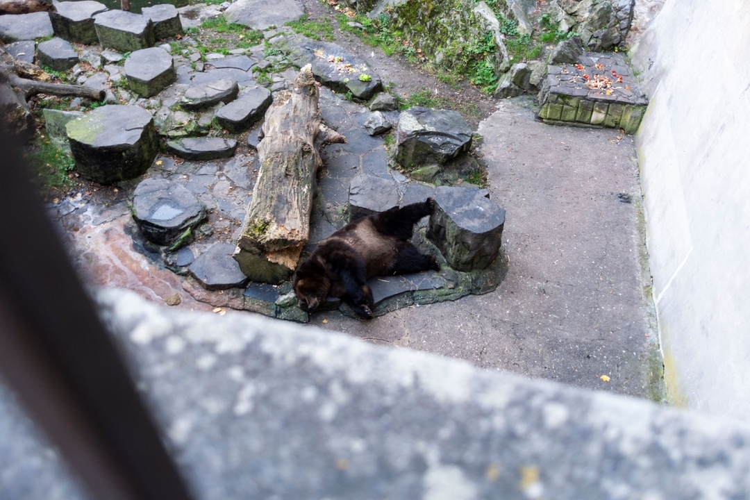 From Prague: Full-Day Trip to Český Krumlov 9