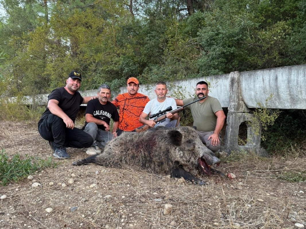 Driven Hunt and Night Hunt in Antalya 6 Day 2