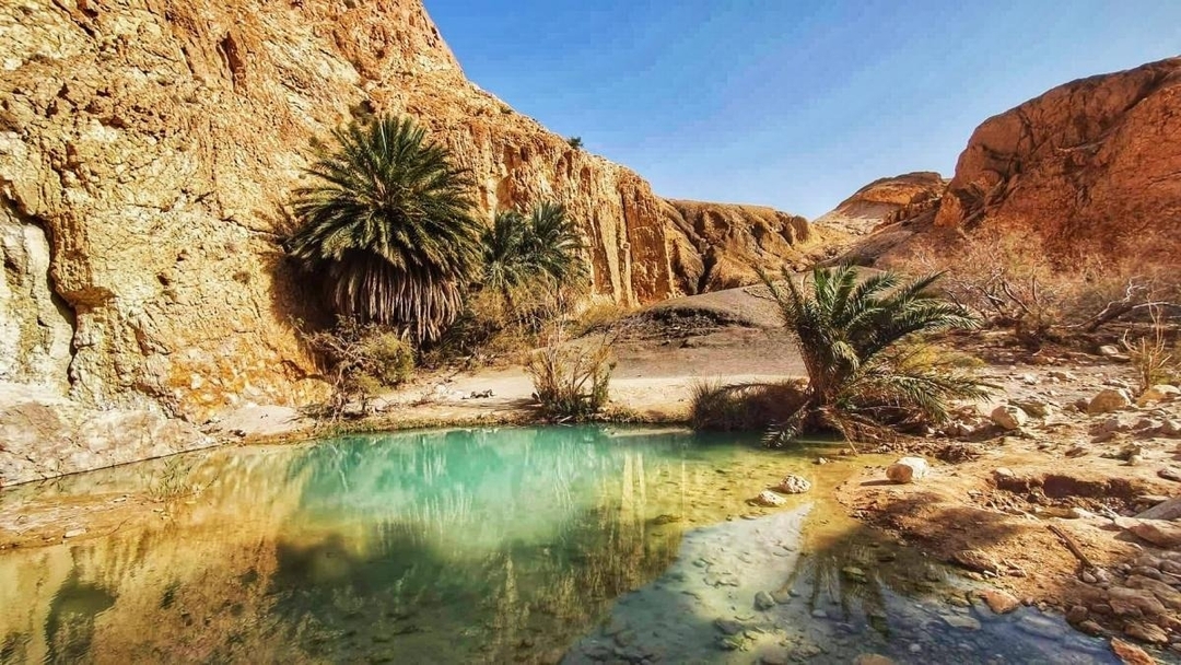 Tunisia Round Trip Discovery  6