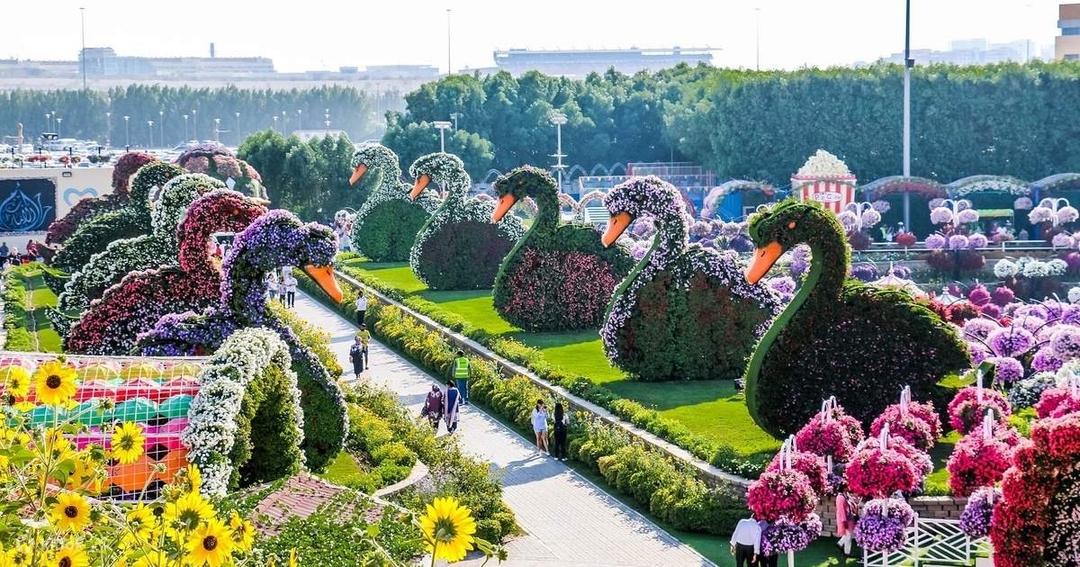 Dubai : Miracle Garden, The World's Largest Flower Paradise 1