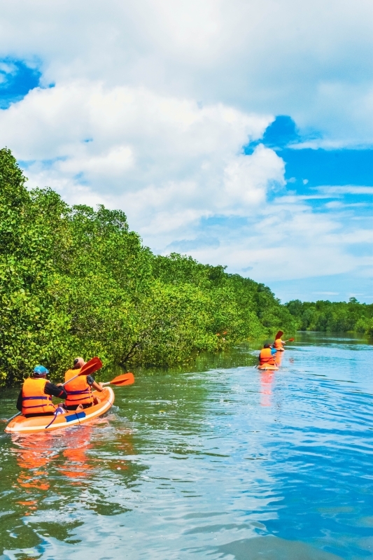 Bali Mangrove Canoeing Tour 5