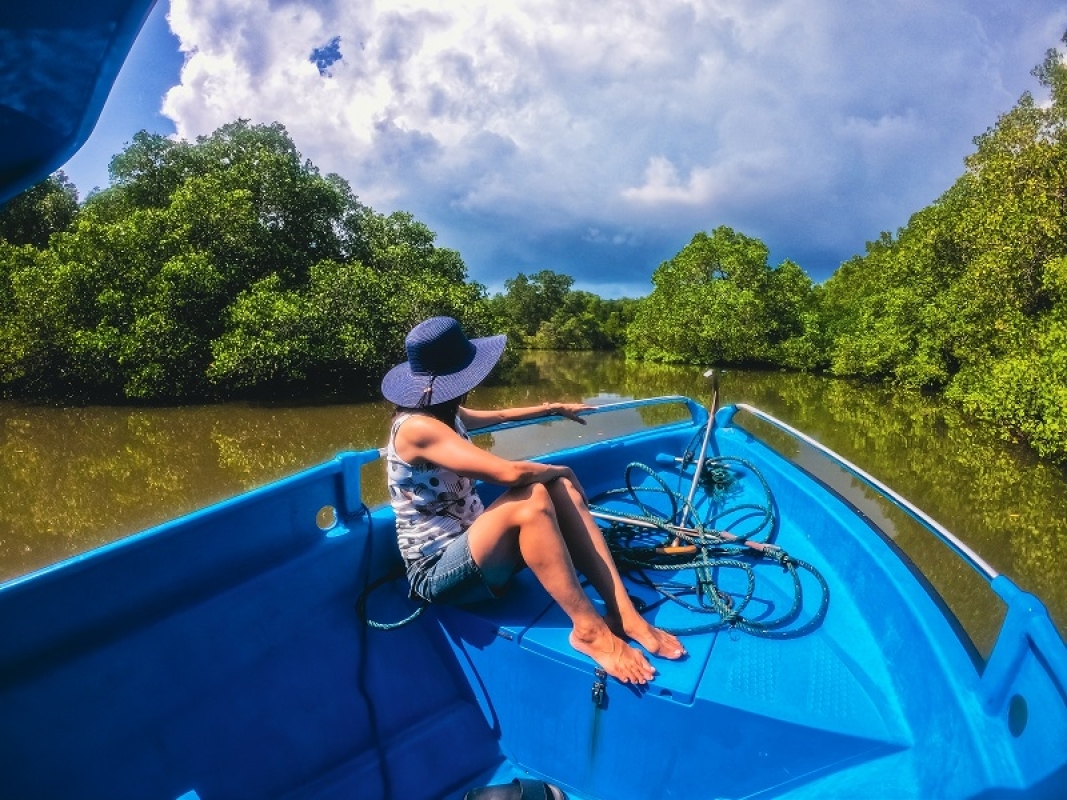 Bali Snorkeling and Mangrove Cruise by Glass Bottom Boat 2