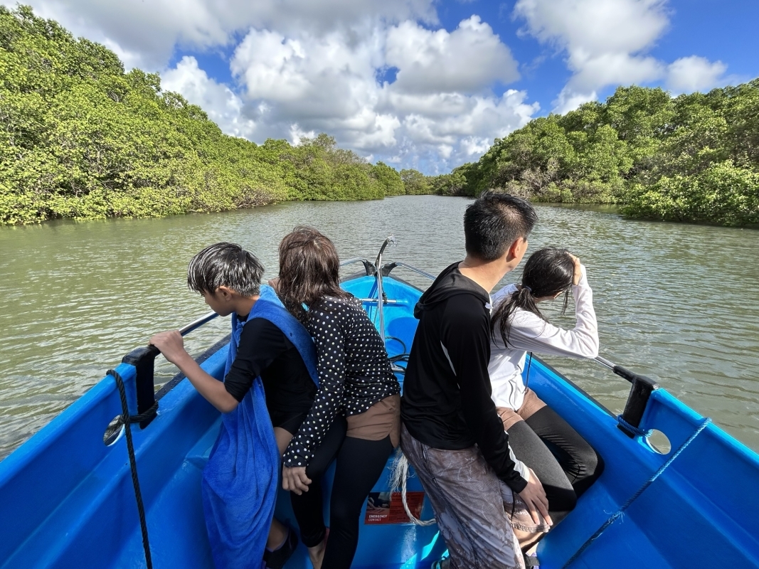 Bali Snorkeling and Mangrove Cruise by Glass Bottom Boat 7