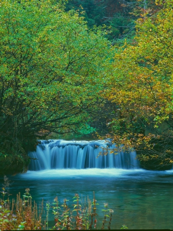 From Split or Trogir: Plitvice Lakes Trip with Entry Ticket 5