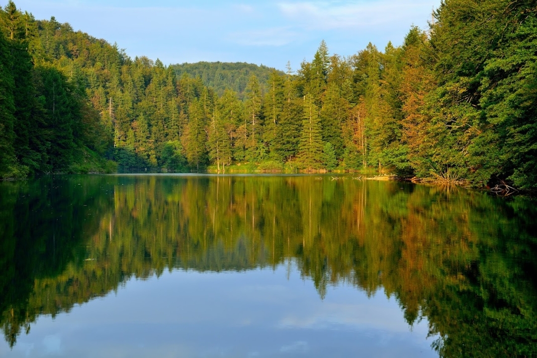 From Split or Trogir: Plitvice Lakes Trip with Entry Ticket 6