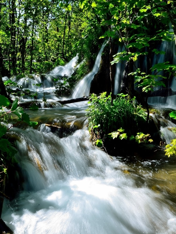 From Split or Trogir: Plitvice Lakes Trip with Entry Ticket 9