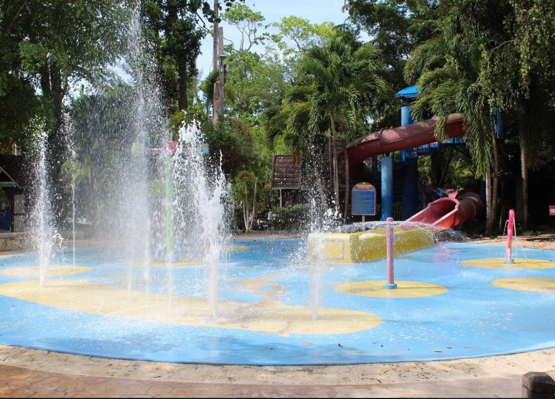 Experience the Best of Ocho Rios: Dunn’s River Falls & Sightseeing 6