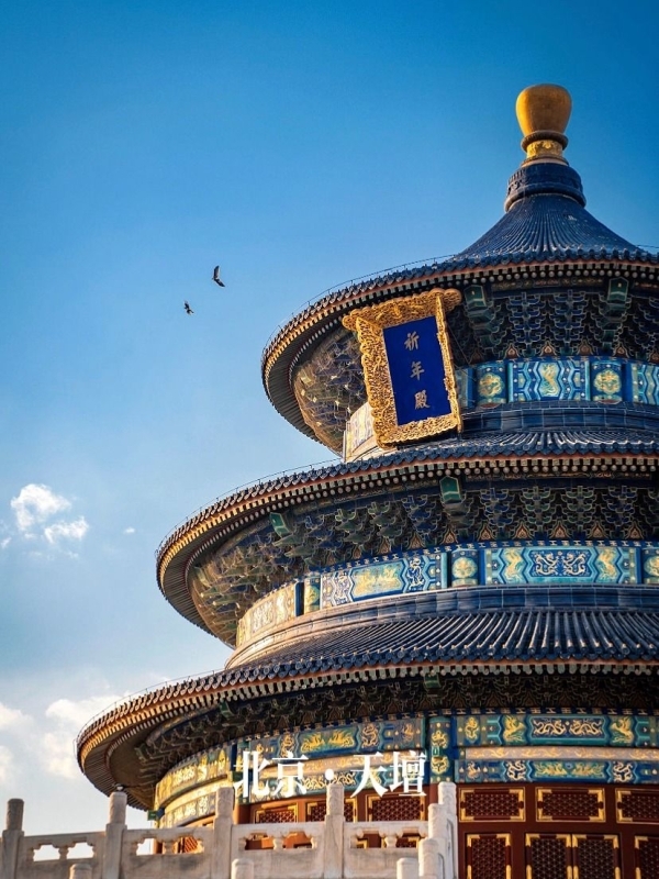 Beijing & Shanghai 7D6N the most popular tour in China 3