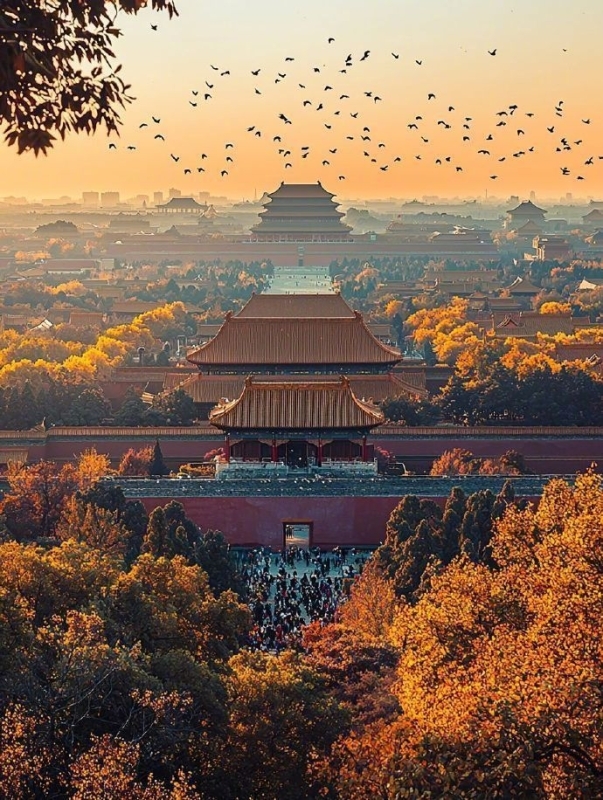 Beijing & Shanghai 7D6N the most popular tour in China 4