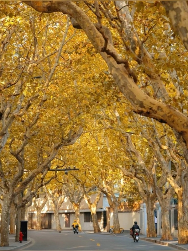 Beijing & Shanghai 7D6N the most popular tour in China 6
