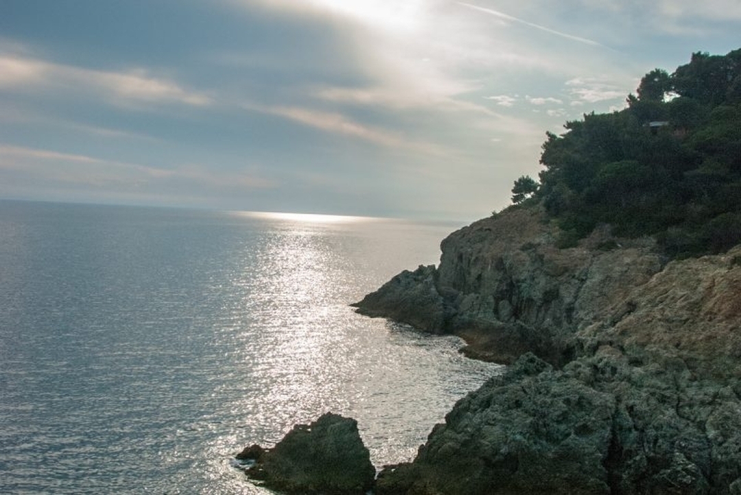 From Florence: Discover the essence of the Cinque Terre 4