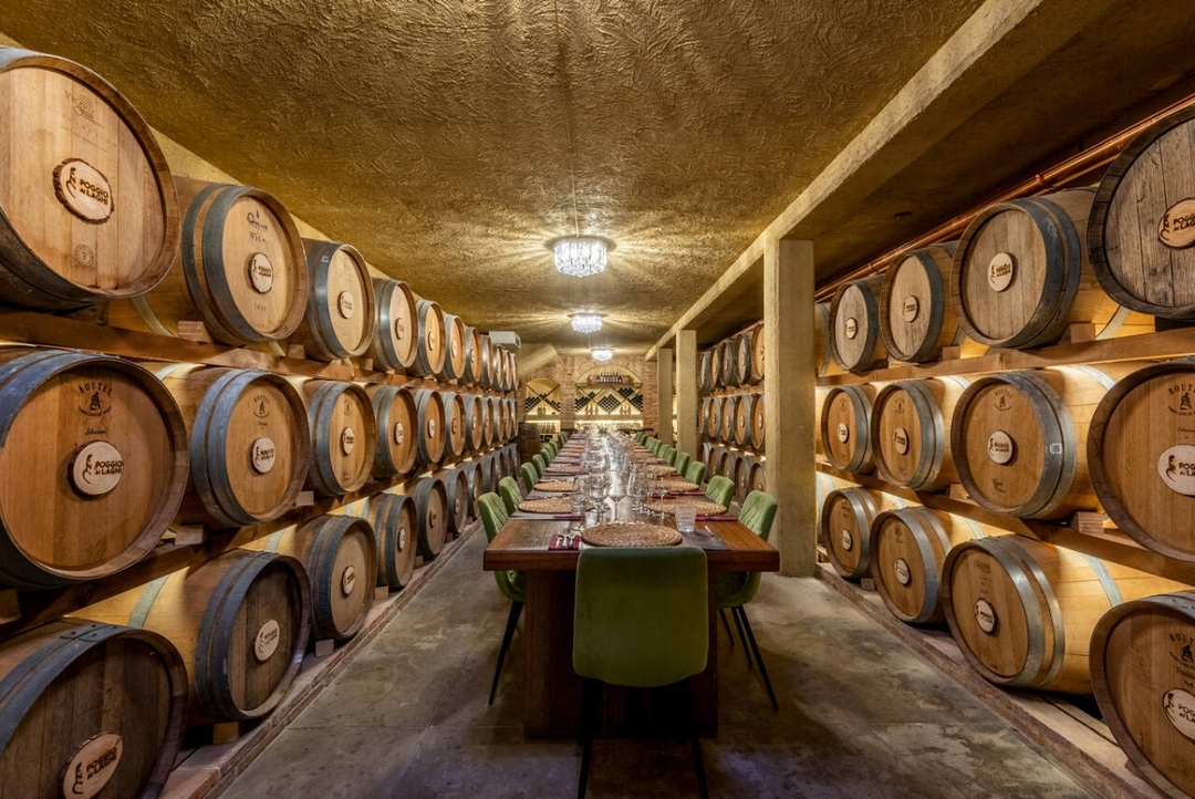 Chianti Wine Experience: Wine Tasting and Cellar Tour in the Heart of Tuscany from Florence 5