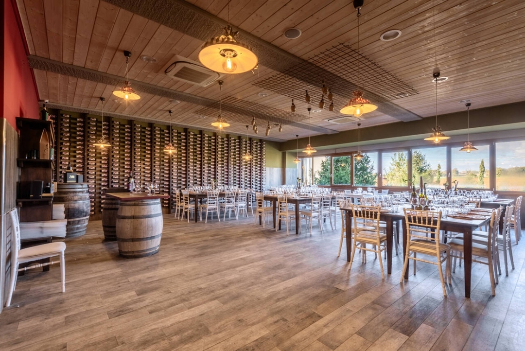 Chianti Wine Experience: Wine Tasting and Cellar Tour in the Heart of Tuscany from Florence 7