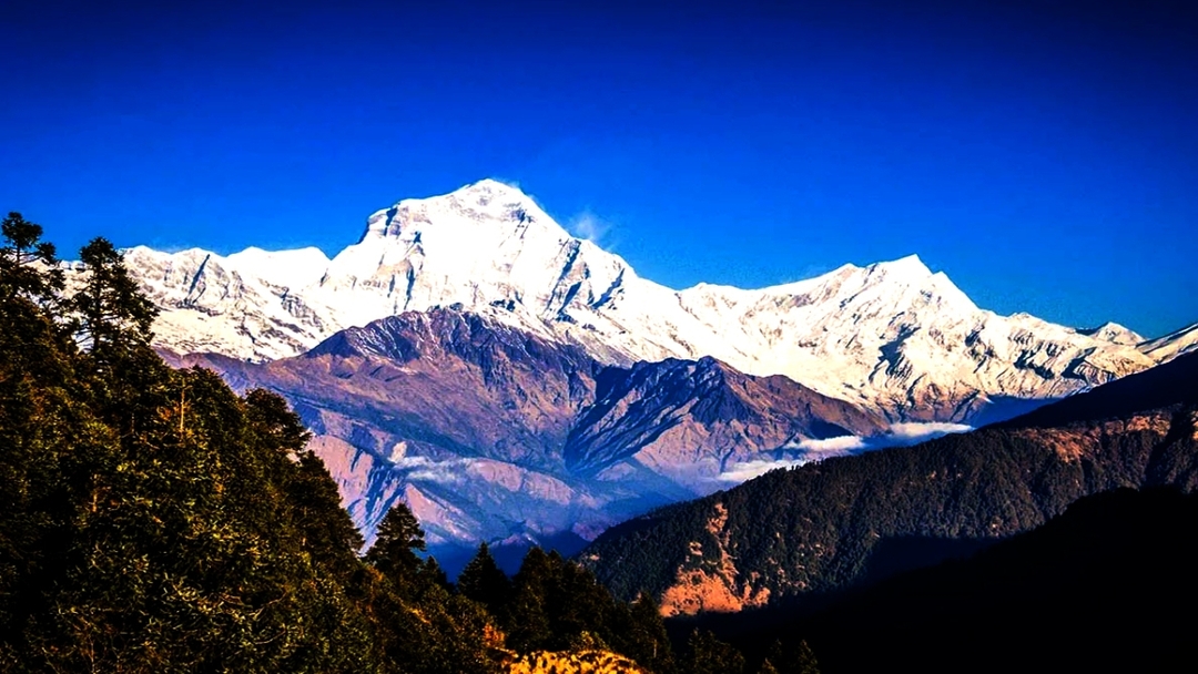 Poon Hill Trek – Scenic Annapurna Sunrise Trek in Nepal 6