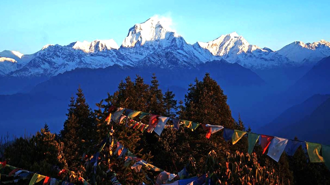 Poon Hill Trek – Scenic Annapurna Sunrise Trek in Nepal 7