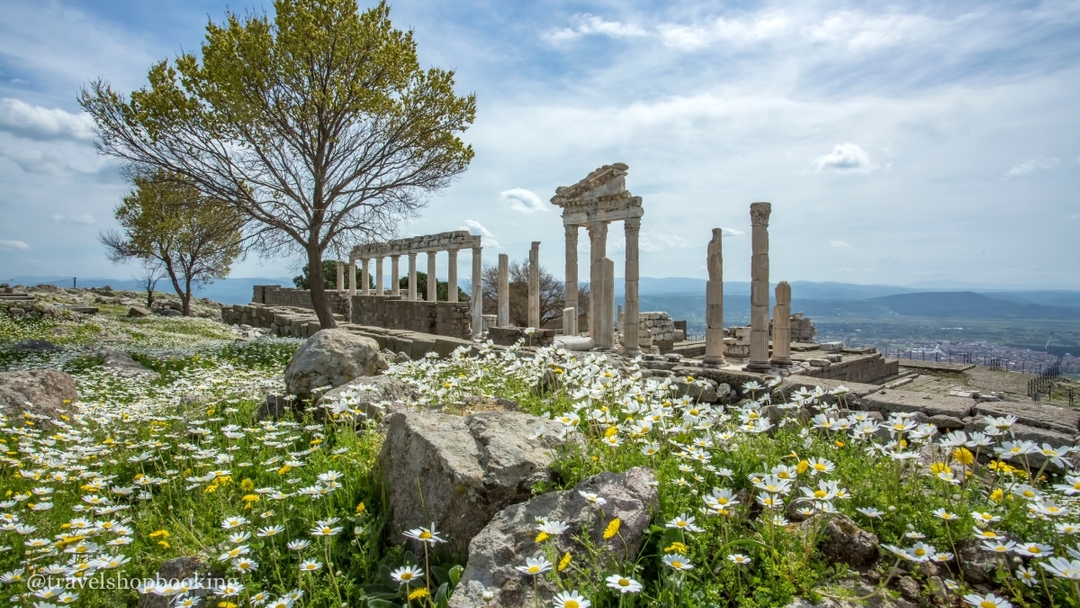Daily Pergamon Tour from Izmir – Explore Ancient Acropolis, Library & Zeus Altar 2