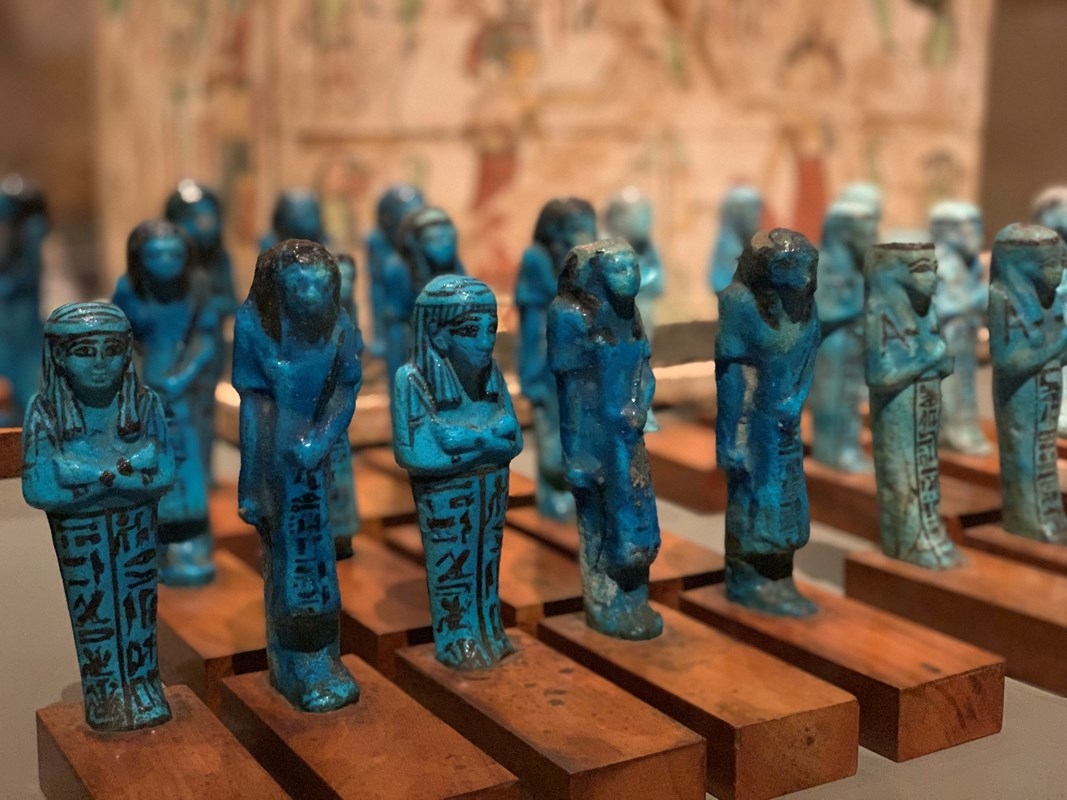 Egyptian Museum of Turin: Entrance Ticket & Hop On Hop Off tour 2