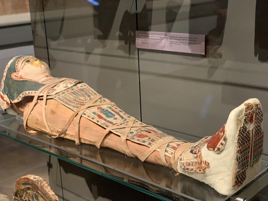 Egyptian Museum of Turin: Entrance Ticket & Hop On Hop Off tour 6
