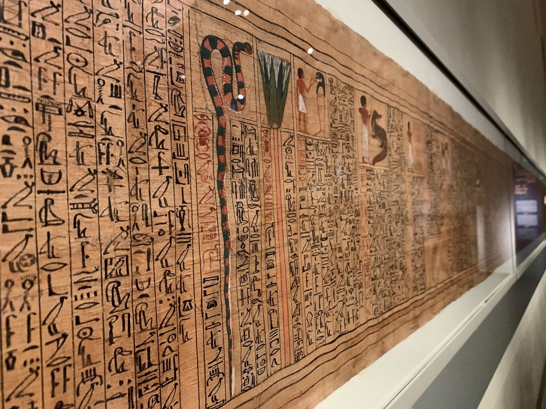 Egyptian Museum of Turin: Entrance Ticket & Hop On Hop Off tour 7
