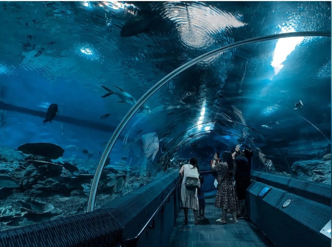 Only Ticket Entrance Fee Underwater World Pattaya 2