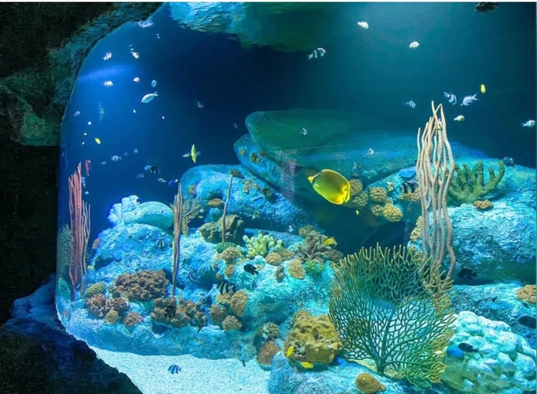 Only Ticket Entrance Fee Underwater World Pattaya 3
