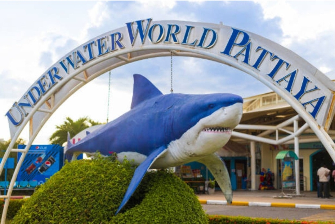Only Ticket Entrance Fee Underwater World Pattaya 4