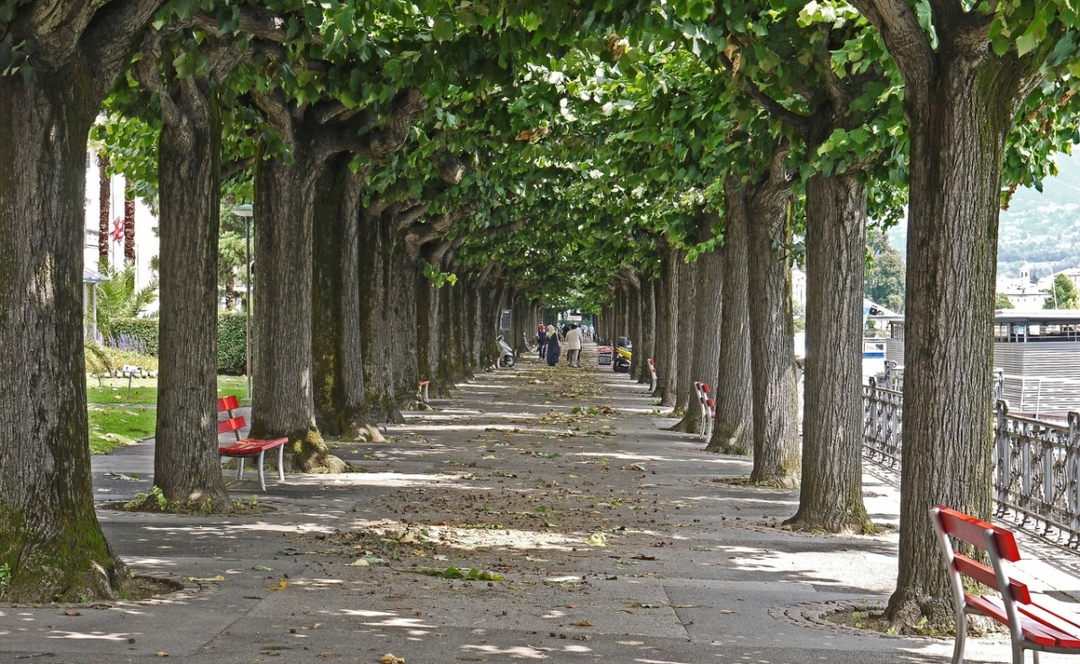 Day Excursion to Lake Como and Lugano from Milan 7