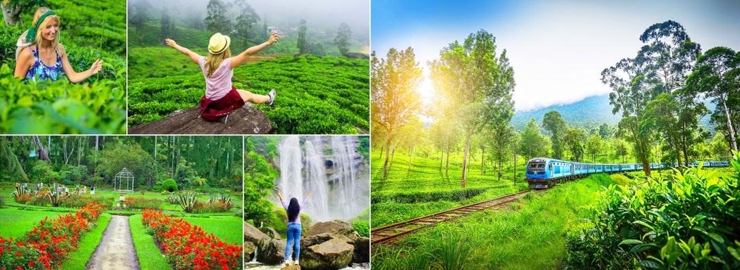 Epic Sri Lanka Adventures 5