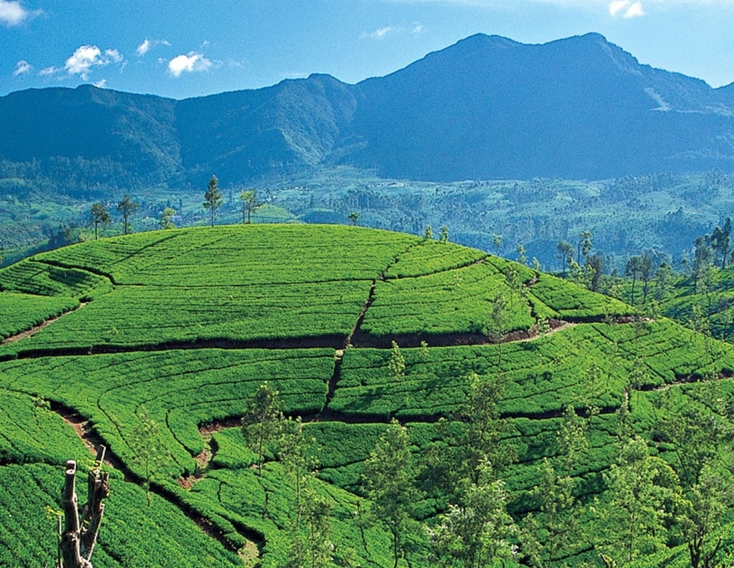 Epic Sri Lanka Adventures 7