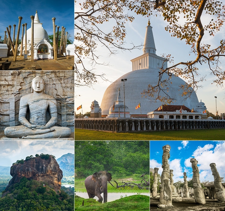 Buddhist-Focused & Serene 2