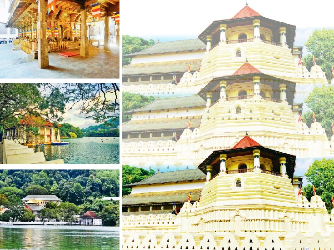 Buddhist-Focused & Serene 3