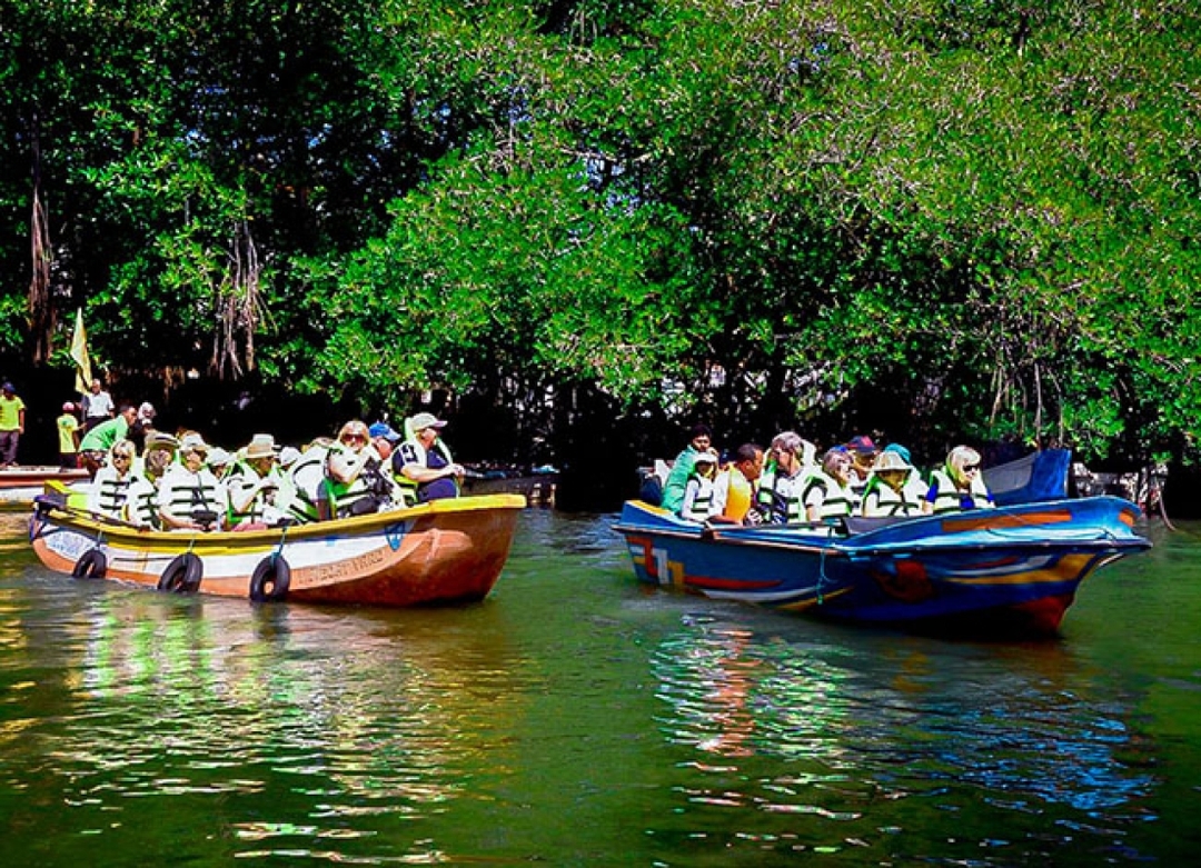 Unforgettable Sri Lanka: Adventure and Peace Combined 5