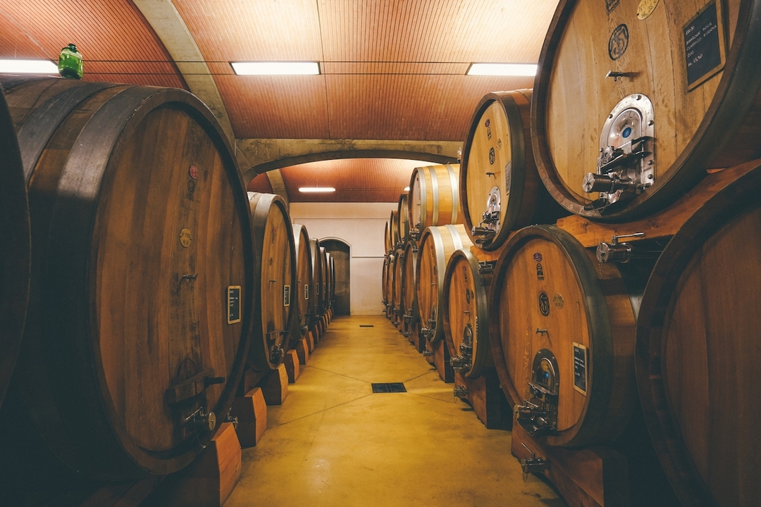 Valpolicella and Amarone Wine Tour from Verona 1