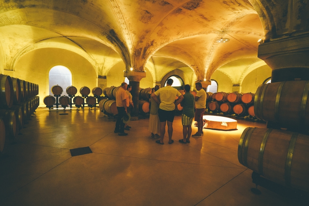 Valpolicella and Amarone Wine Tour from Verona 5