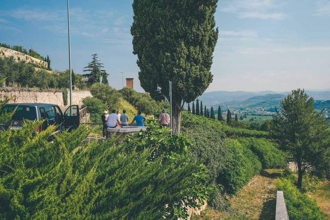Valpolicella and Amarone Wine Tour from Verona 7