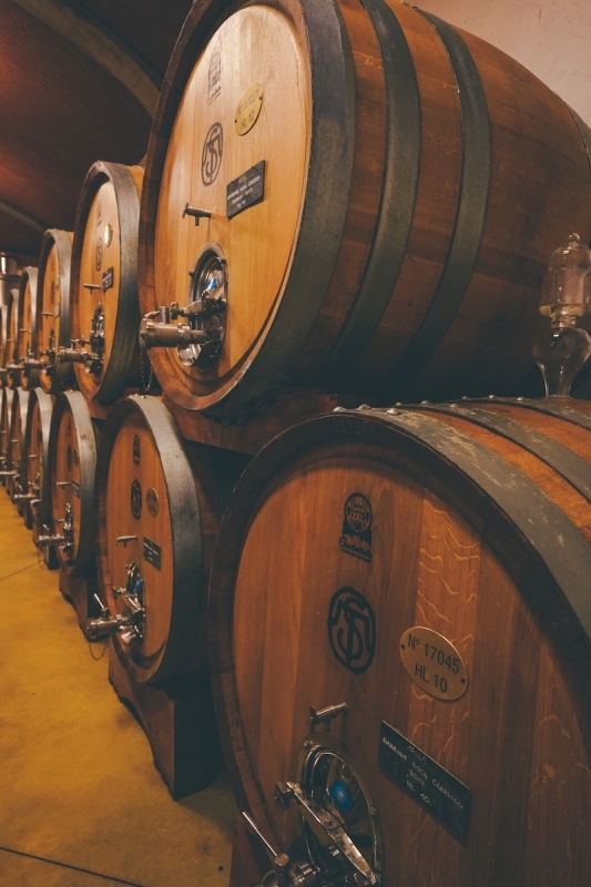 Valpolicella and Amarone Wine Tour from Verona 9