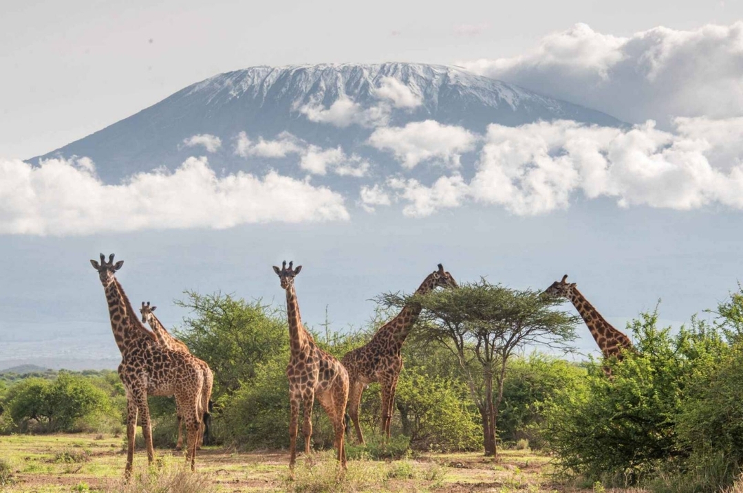 Kenya Bush & Beach Adventure Expedition 1