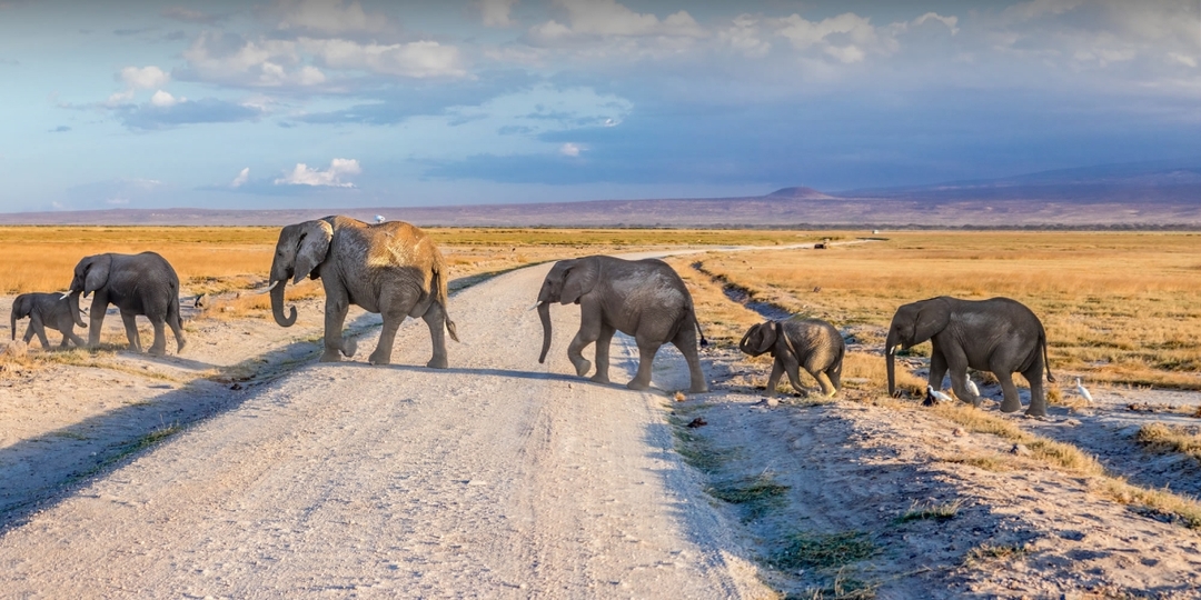 Kenya Bush & Beach Adventure Expedition 2