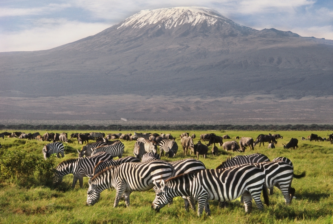 Kenya Bush & Beach Adventure Expedition 4