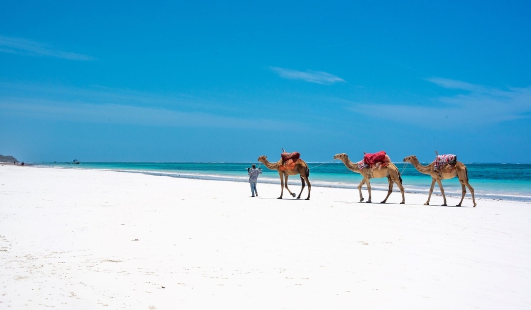 Kenya Bush & Beach Adventure Expedition 5