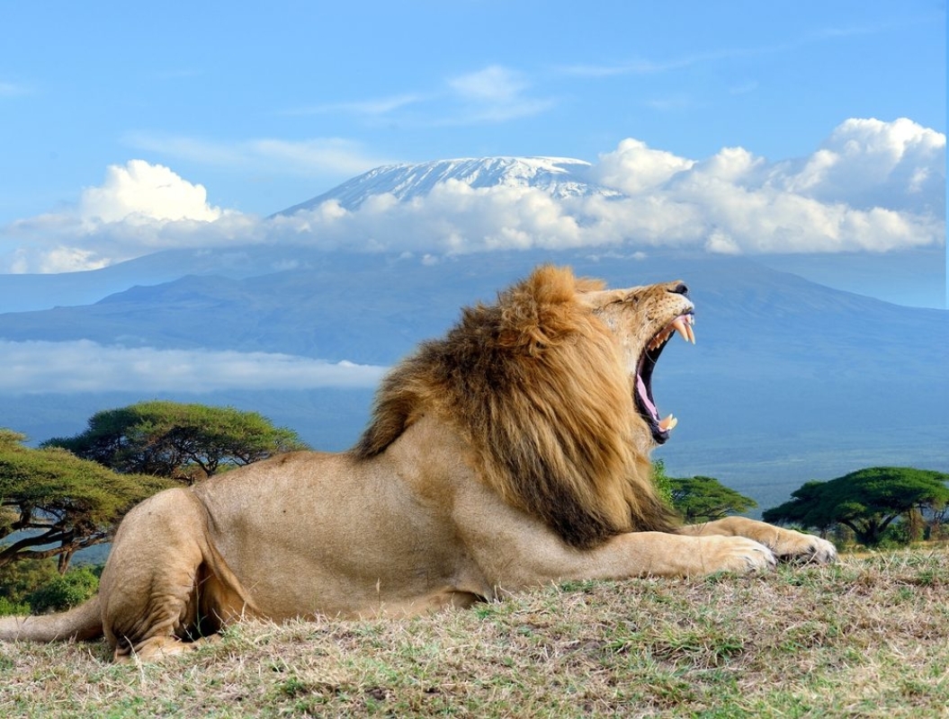 Kenya Bush & Beach Adventure Expedition 7