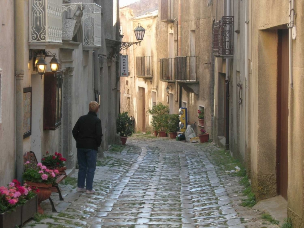 Excursion to Erice, to Trapanis's Saline and to Segesta from Palermo 4
