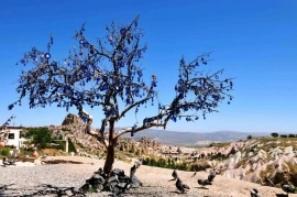 Cappadocia Green Tour