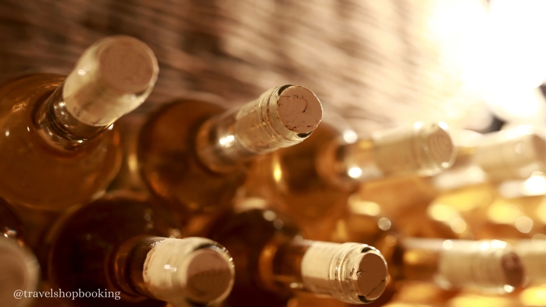 Kakheti Wine Tour from Tbilisi – Tsinandali Estate, Shumi Winery & Qvevri Wines 3