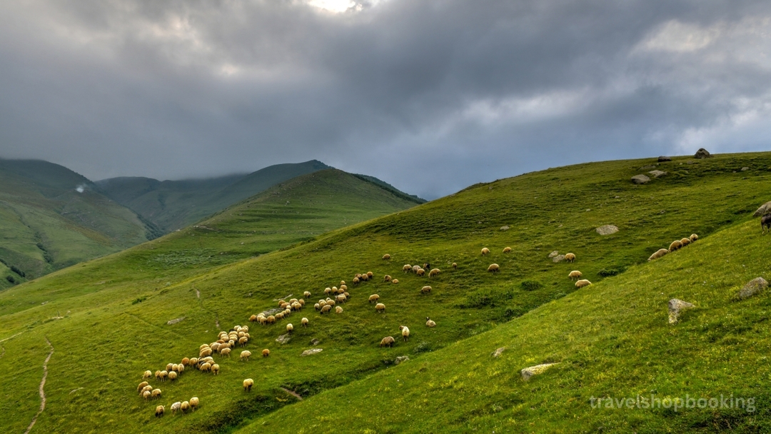 Kazbegi Winter Tour from Tbilisi – Gergeti Trinity Church & Caucasus Mountains 8