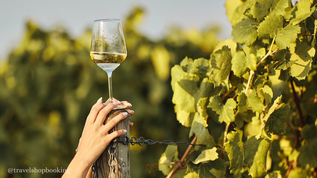 6 Day Wine & Brandy Tour in Georgia – Kakheti Winery & Tbilisi Experience 8