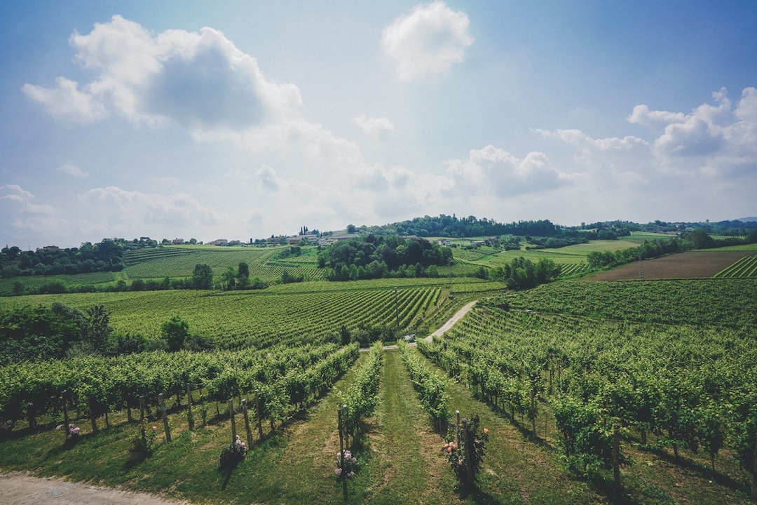 Prosecco Wine Tour from Venice 2